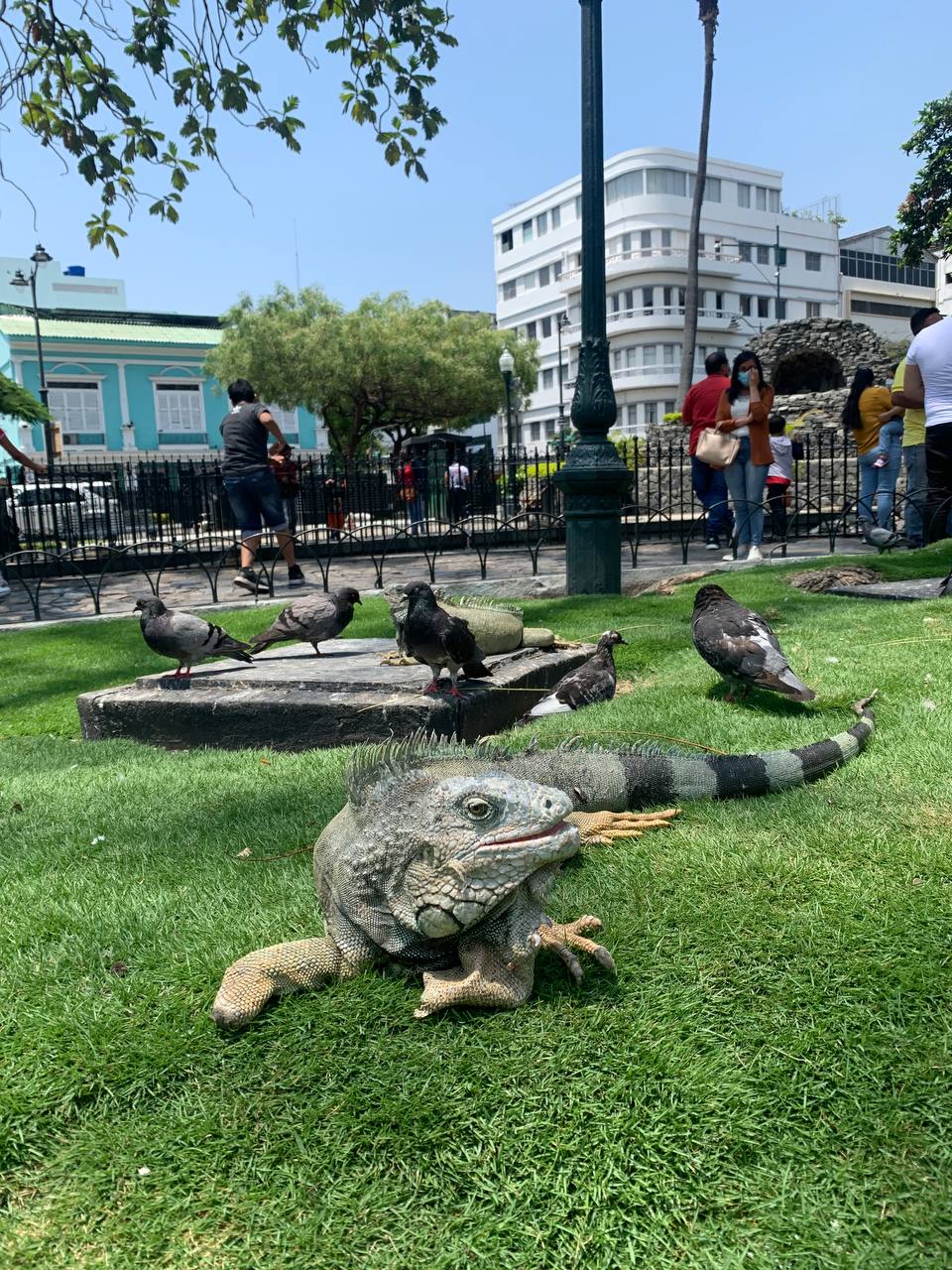 Parque de las Iguanas, Guayaquil